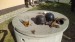 2025-06-28_17-53-09-IMG037
